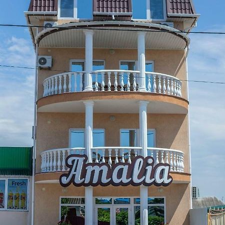 Amalia Hotel Zaliznyi Port Buitenkant foto