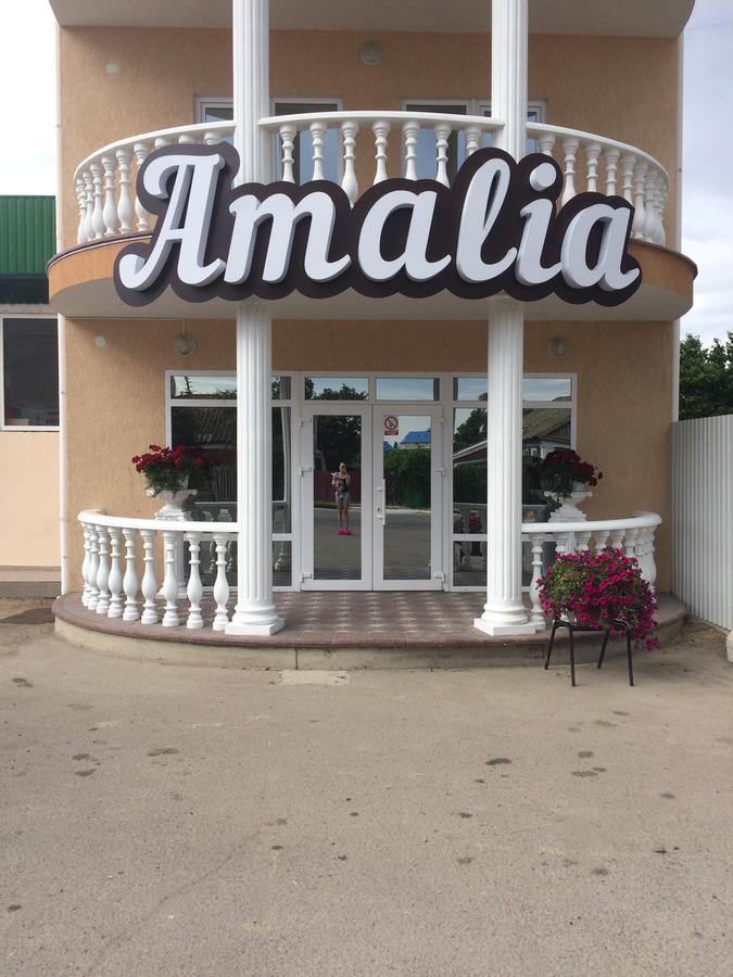 Amalia Hotel Zaliznyi Port Buitenkant foto