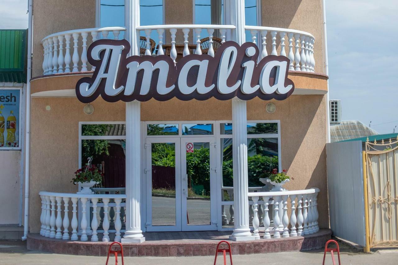 Amalia Hotel Zaliznyi Port Buitenkant foto